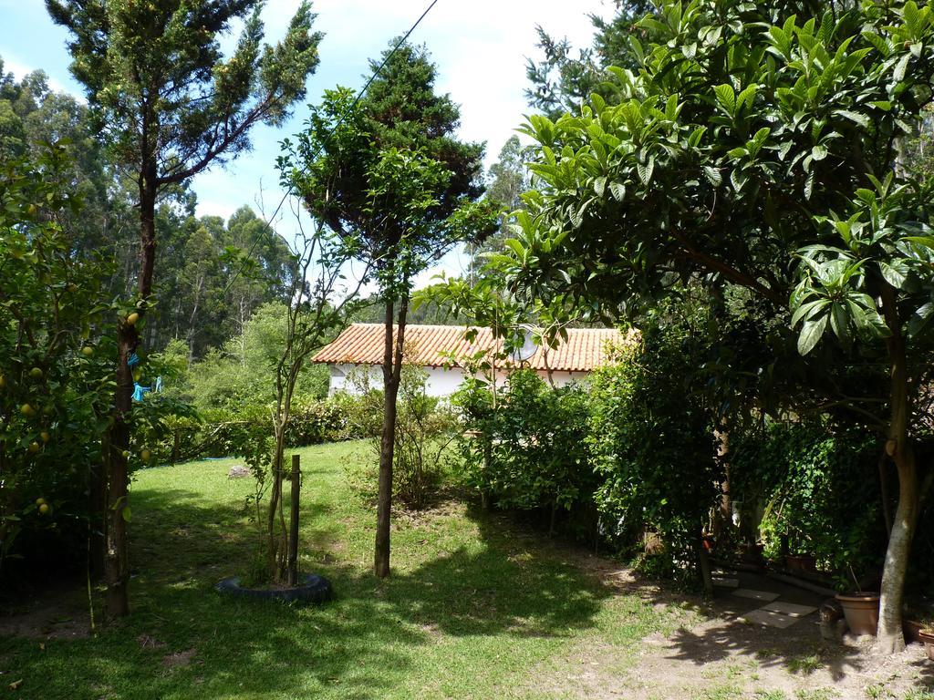 הוילה קאסטלו דו נייבה Casa Da Azenha Branca מראה חיצוני תמונה